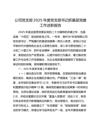 公司党支部2025年度党支部书记抓基层党建工作述职报告