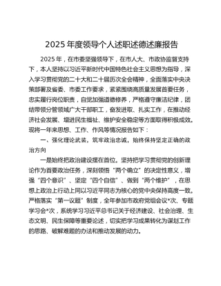 2025年度领导个人述职述德述廉报告