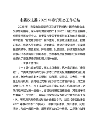 市委政法委2025年意识形态工作总结