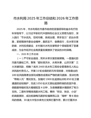 市水利局2025年工作总结和2026年工作思路