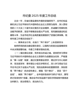 市纪委2025年度工作总结