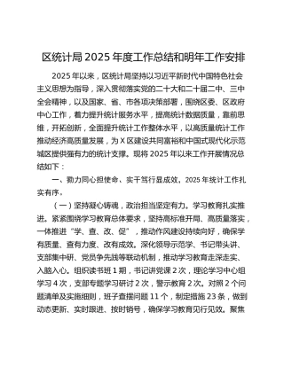 区统计局2025年度工作总结和明年工作安排