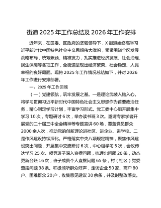 街道2025年工作总结及2026年工作安排（2）