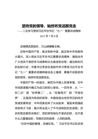 二论学习贯彻习近平总书记“七一”重要讲话精神(1)