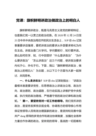 党课：旗帜鲜明讲政治做政治上的明白人