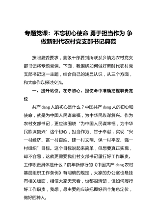 专题党课：不忘初心使命勇于担当作为争做新时代农村党支部书记典范
