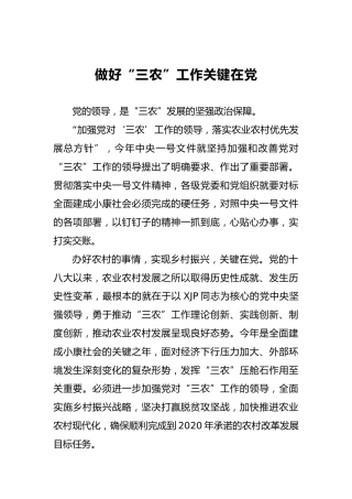 做好“三农”工作关键在党