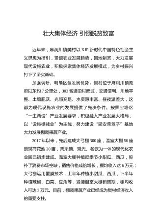 壮大集体经济引领脱贫致富