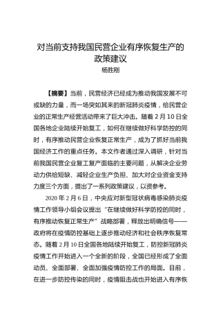 杨胜刚：对当前支持我国民营企业有序恢复生产的政策建议