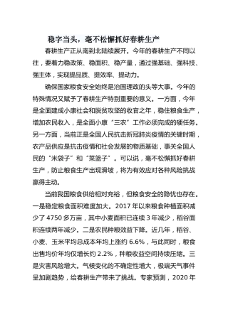 稳字当头，毫不松懈抓好春耕生产
