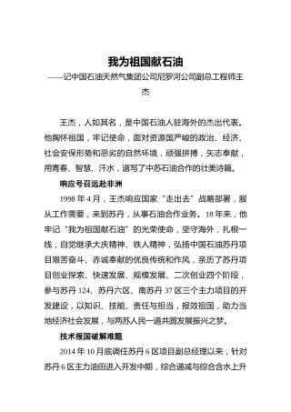 我为祖国献石油——记中国石油天然气集团公司尼罗河公司副总工程师王杰