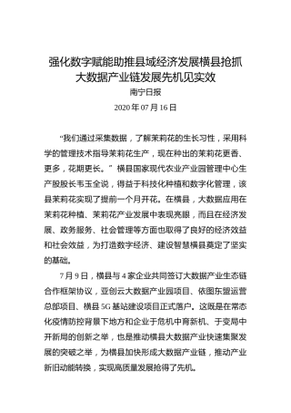强化数字赋能助推县域经济发展横县抢抓大数据产业链发展先机见实效