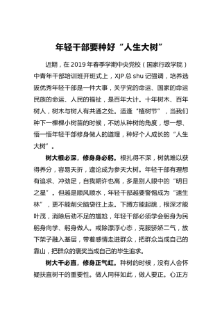 戚小强：年轻干部要种好“人生大树”