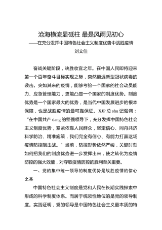 刘文佳：在充分发挥中国特色社会主义制度优势中战胜疫情