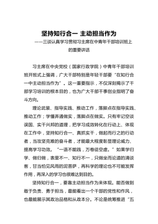 坚持知行合一主动担当作为——三谈认真学习贯彻习主席在中青年干部培训班上的重要讲话