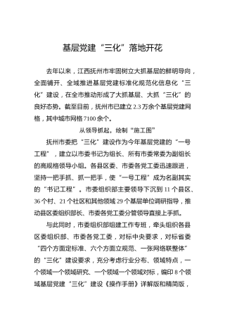 基层党建“三化”落地开花