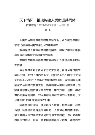 高飞：天下情怀，推动构建人类命运共同体