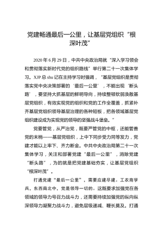 党建畅通最后一公里，让基层党组织“根深叶茂”