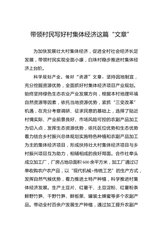 带领村民写好村集体经济这篇“文章”