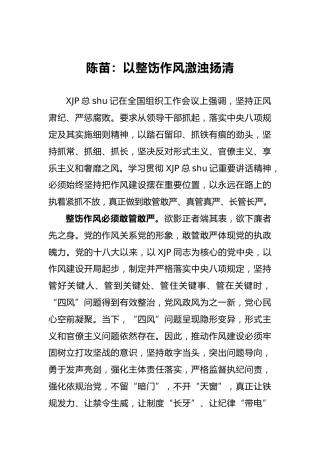 陈苗：以整饬作风激浊扬清