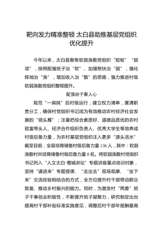 靶向发力精准整顿太白县助推基层党组织优化提升