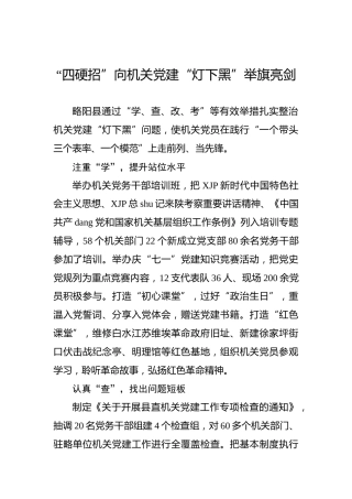 “四硬招”向机关党建“灯下黑”举旗亮剑