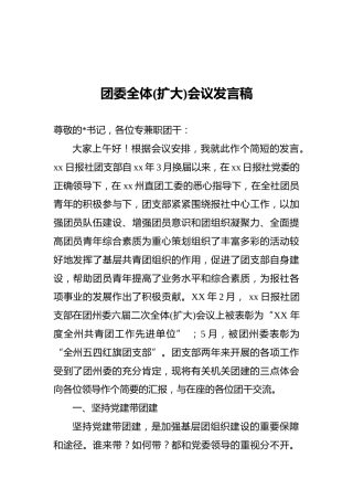 团委全体(扩大)会议发言稿