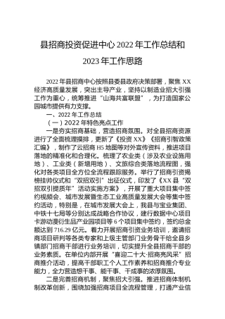 县招商投资促进中心2022年工作总结和2023年工作思路