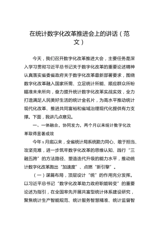 在统计数字化改革推进会上的讲话（范文）