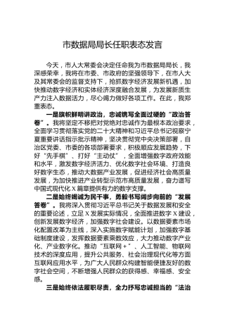 市数据局局长任职表态发言