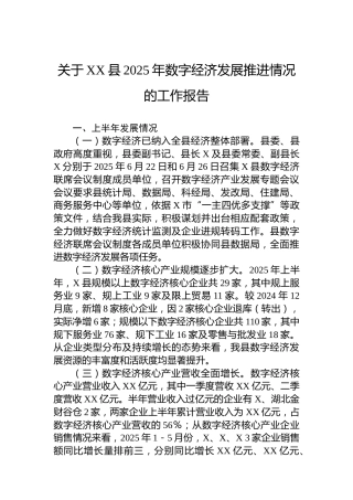 关于XX县2025年数字经济发展推进情况的工作报告