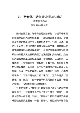 岳中刚张志华：以“数智化”转型促进经济内循环