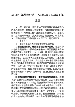 县2023年数字经济工作总结及2024年工作计划(20231208)