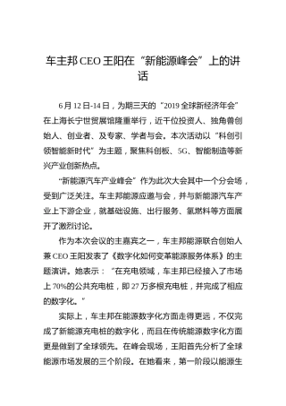 王阳：在“新能源峰会”上的讲话