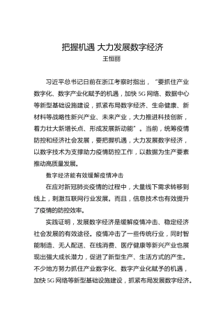 王恒丽：把握机遇大力发展数字经济