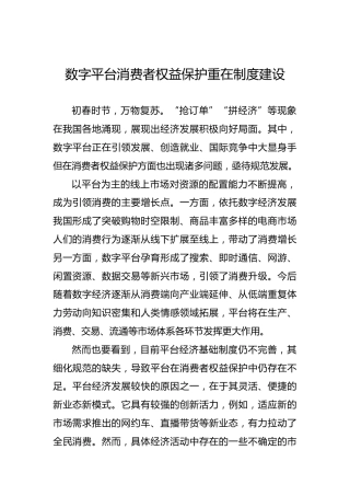 数字平台消费者权益保护重在制度建设