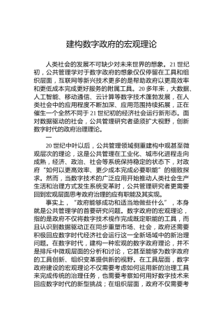 建构数字政府的宏观理论
