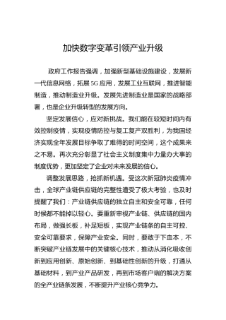 加快数字变革引领产业升级