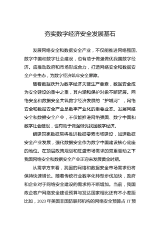 夯实数字经济安全发展基石