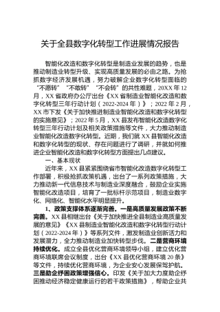 关于全县数字化转型工作进展情况报告