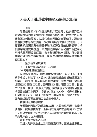 X县关于推进数字经济发展情况汇报
