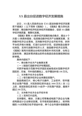 XX县出台促进数字经济发展措施