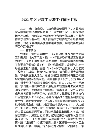 2023年X县数字经济工作情况汇报