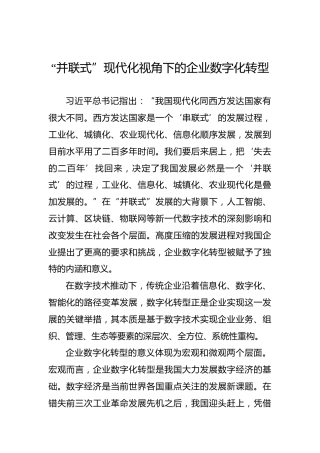 “并联式”现代化视角下的企业数字化转型