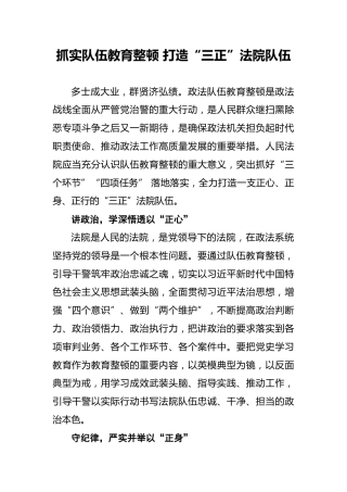 抓实队伍教育整顿打造“三正”法院队伍
