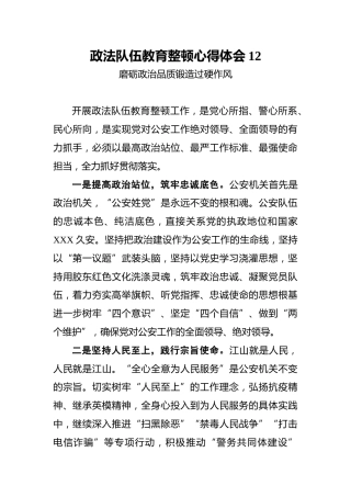 政法队伍教育整顿心得体会12