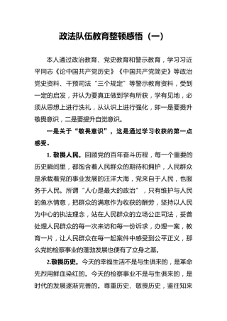 政法队伍教育整顿感悟（一）