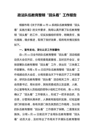 政法队伍教育整顿“回头看”工作报告