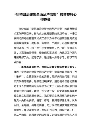 “坚持政治建警全面从严治警”教育整顿心得体会