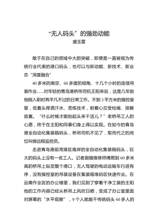 盛玉雷：“无人码头”的强劲动能(1)